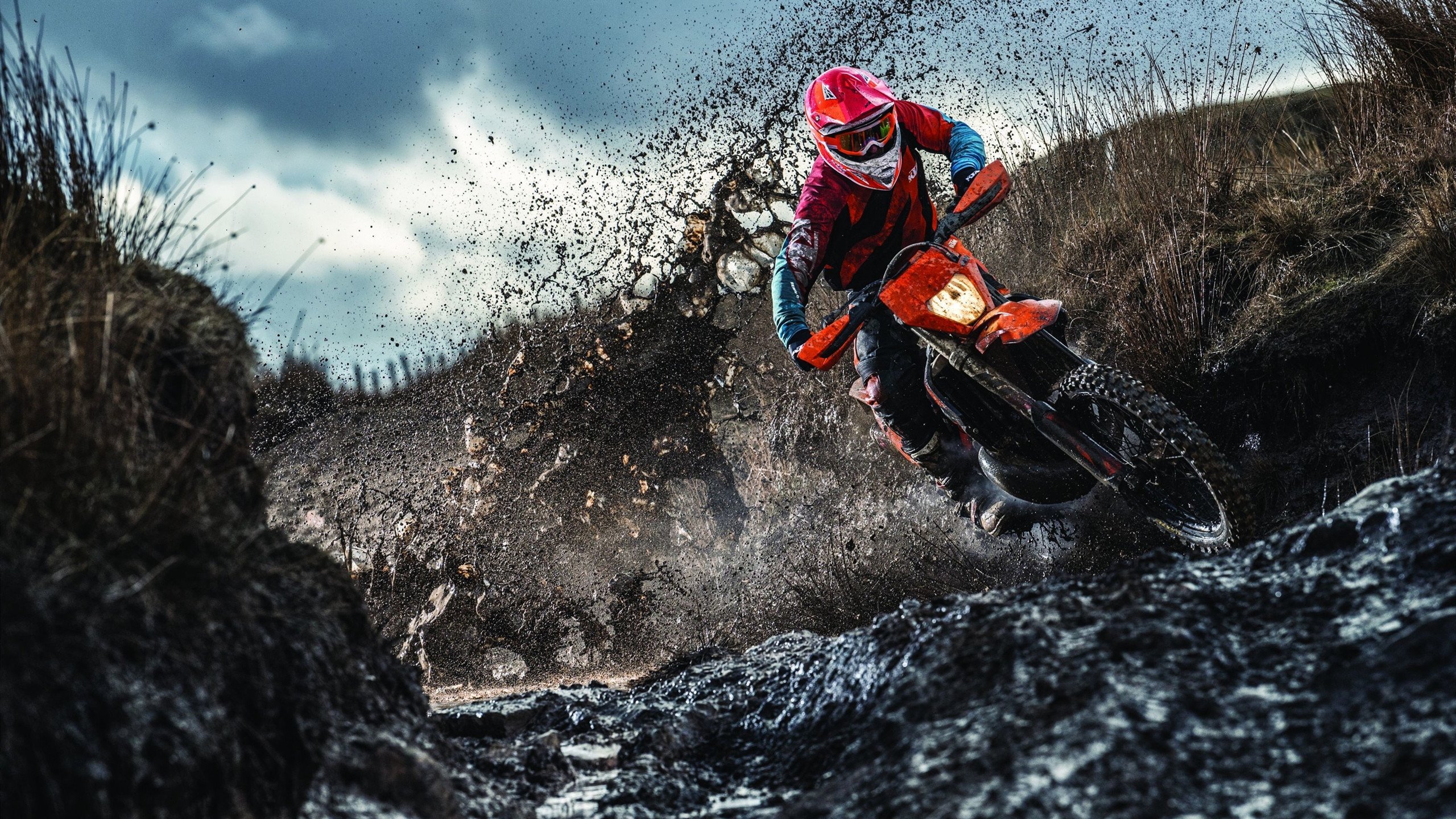 字母哥大场面先生，广东队横扫独行侠，当东方纪律碾过西方天赋